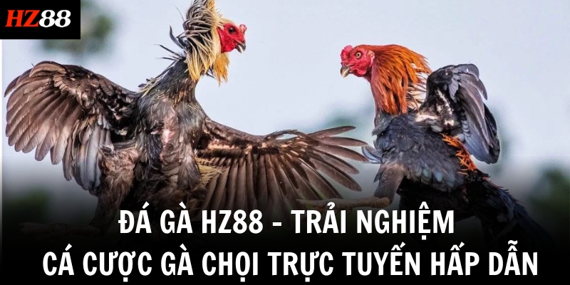 da ga hz88 trai nghiem ca cuoc ga choi truc tuyen hap dan
